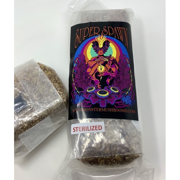 2lb Sterilized Grain Spawn Bag for Mushroom Cultivation from Monster Mushrooms Company.