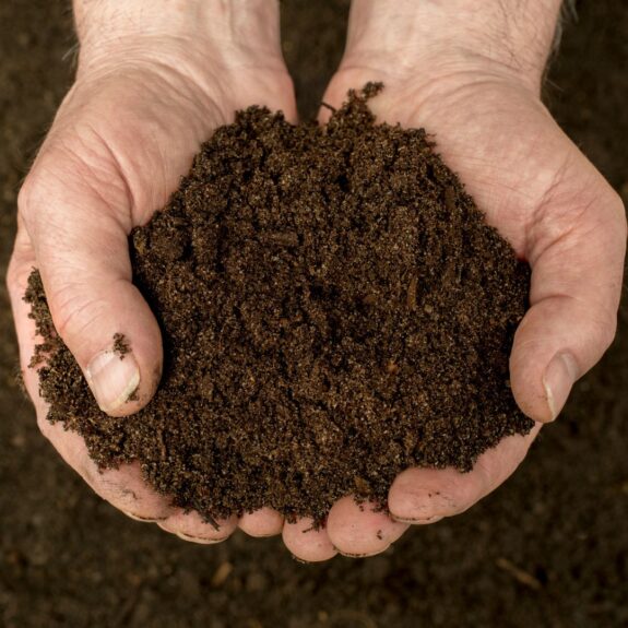 hands holding dirt