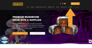 Image showing where the accounts tab is on the home page leading users to monster mushrooms loyalty program