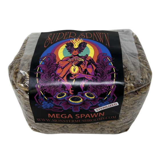 3lb Sterilized Mushroom Grain Spawn Bag from Monster Mushroom Company ready for at home mycology use.