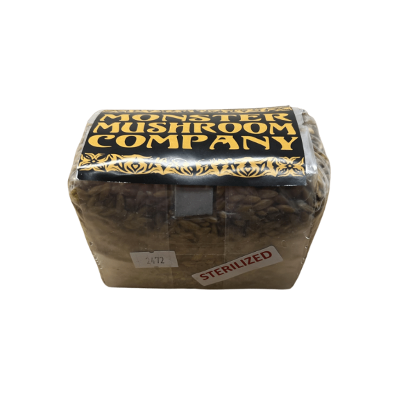 1lb High-Quality Sterilized Grain Spawn Bag for Mushroom Cultivation