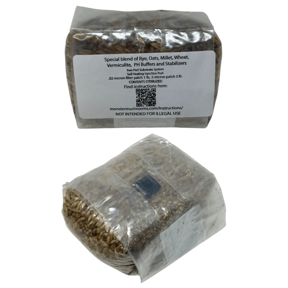 1lb Sterilized Mushroom Grain Spawn by Monster Mushrooms, ready for inoculation