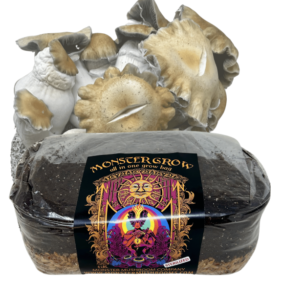 Monster Mushroom All-in-One 6lb. Grow Bag
