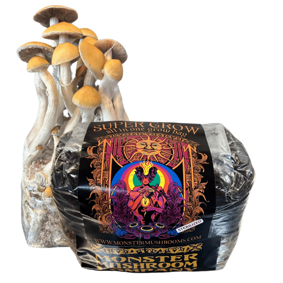 Monster Mushroom All-in-One 3lb. Grow Bag