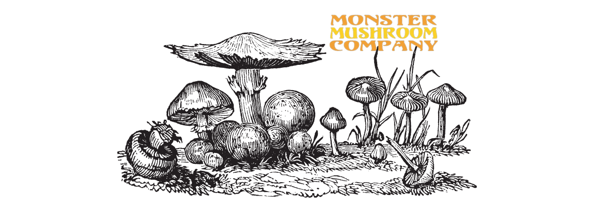 Monster Mushroom Company Mushroom Vari Mushroom Grow Bags and Supplies. Mushroom growing image of various mushrooms with the Monster Mushroom Company logo above on a transparent background.